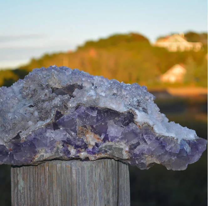 "Flo" the Purple Fluorite with Calcite