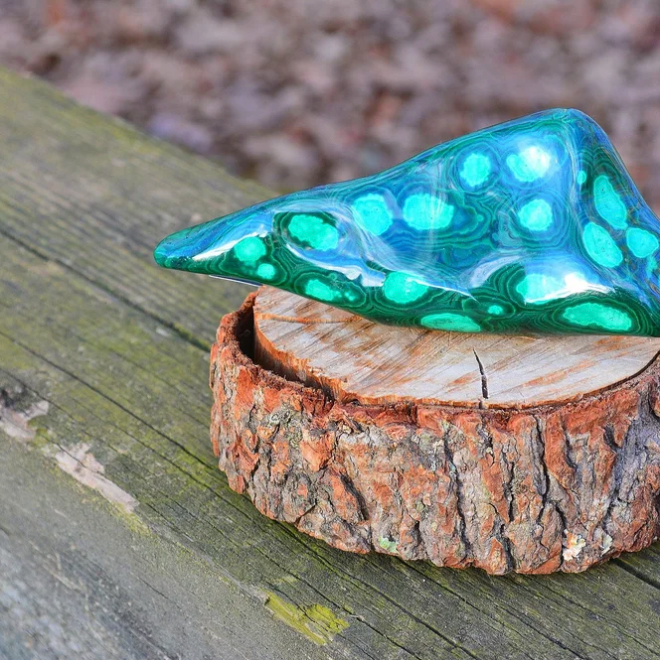 Polished Malachite from Dominican Republic