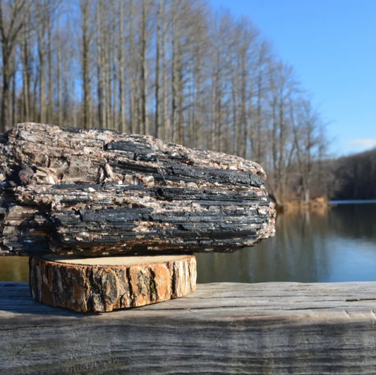 Black Tourmaline Log with Mica from Brazil